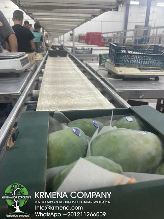 Farming Crop