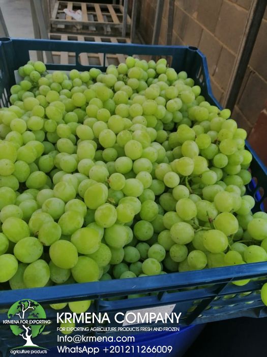 grapes