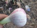 IMG 20210212 WA0021