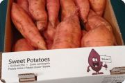 Sweet potatoes 2021