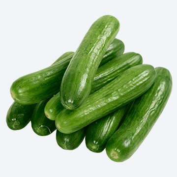 Cucumber