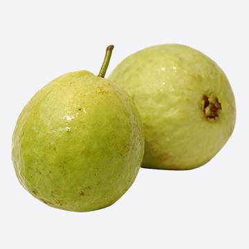 Guava