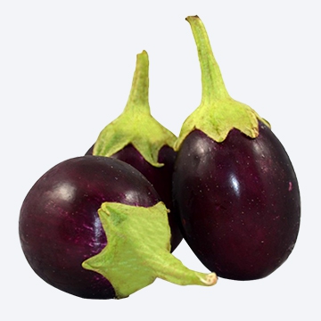 Eggplant