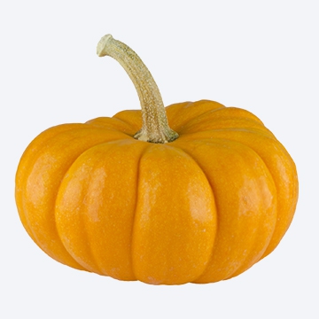 Calabaza