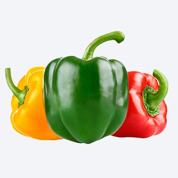 Capsicum