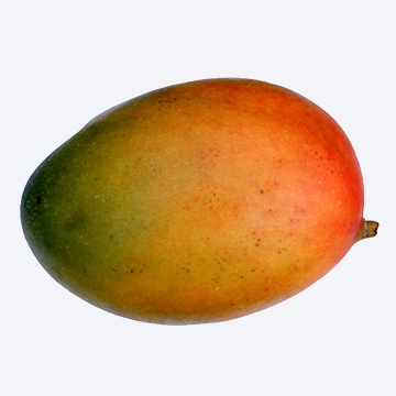 Mango Kieth