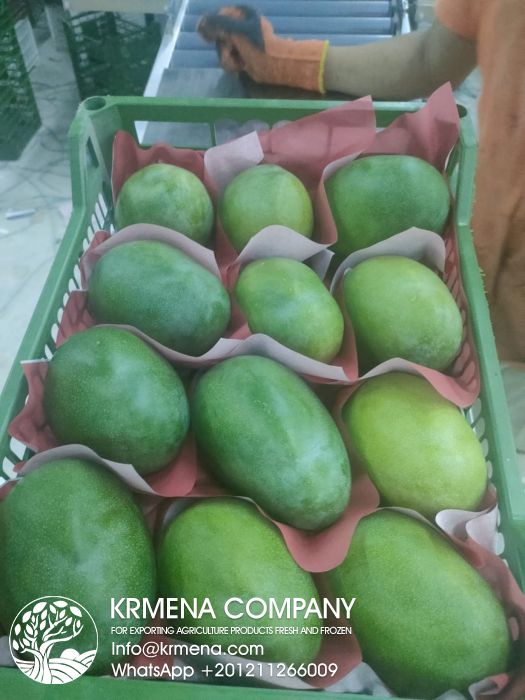 Premium Fruits